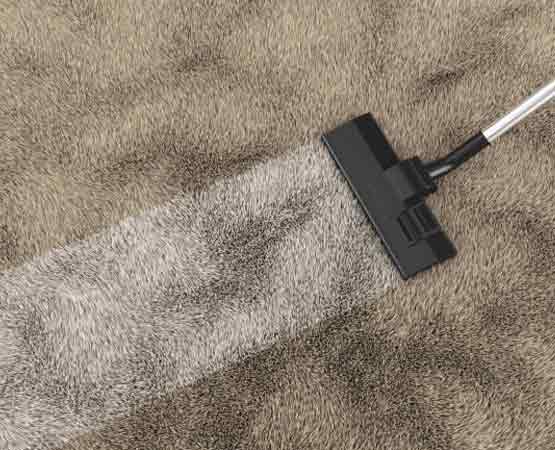 Carpet Cleaners In Scarborough